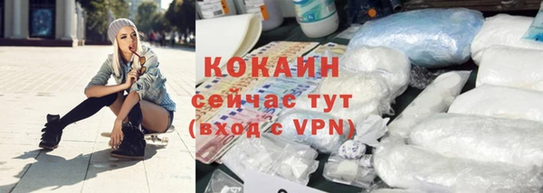 твердый Дубна